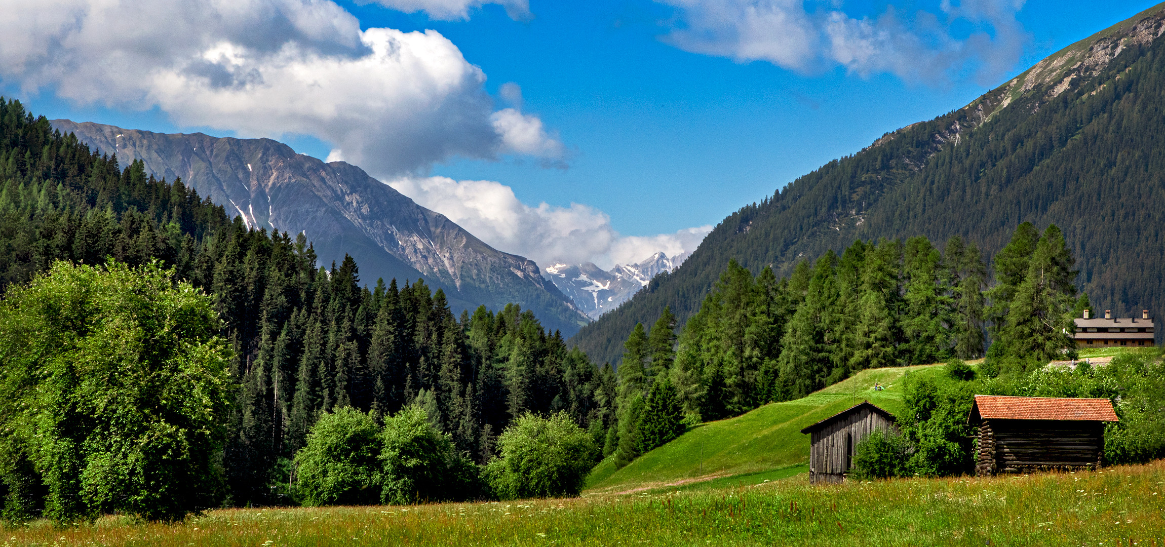 Blick aus dem Bernina Express 001