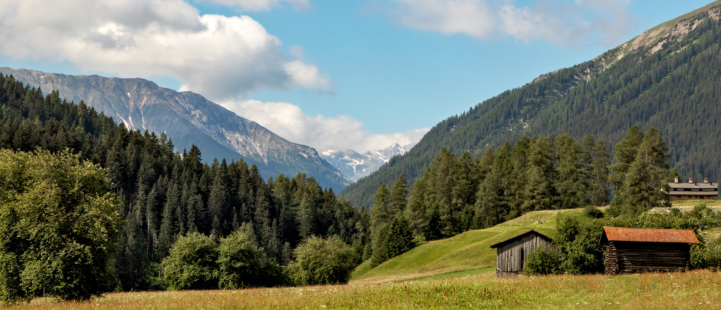 Blick aus dem Bernina-Express 001a