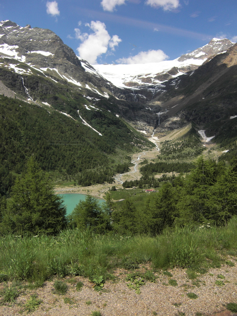 Blick aus dem Bernina Express