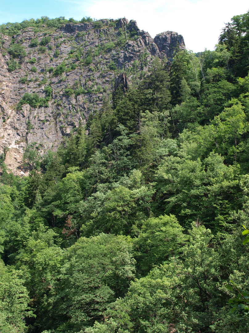 Blick aus dem Bodetal vom Hexenstieg zur Rosstrappe