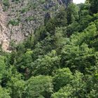 Blick aus dem Bodetal vom Hexenstieg zur Rosstrappe