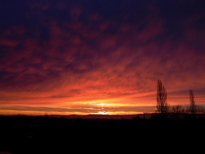 Blick aus dem Bürofenster