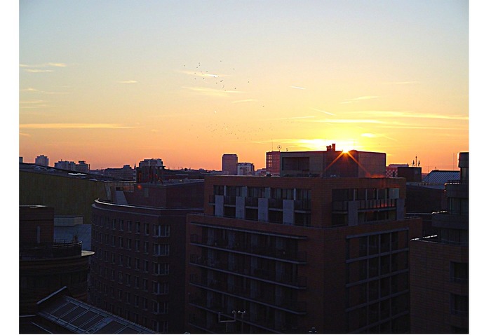 Blick aus dem Bürofenster in den Abend