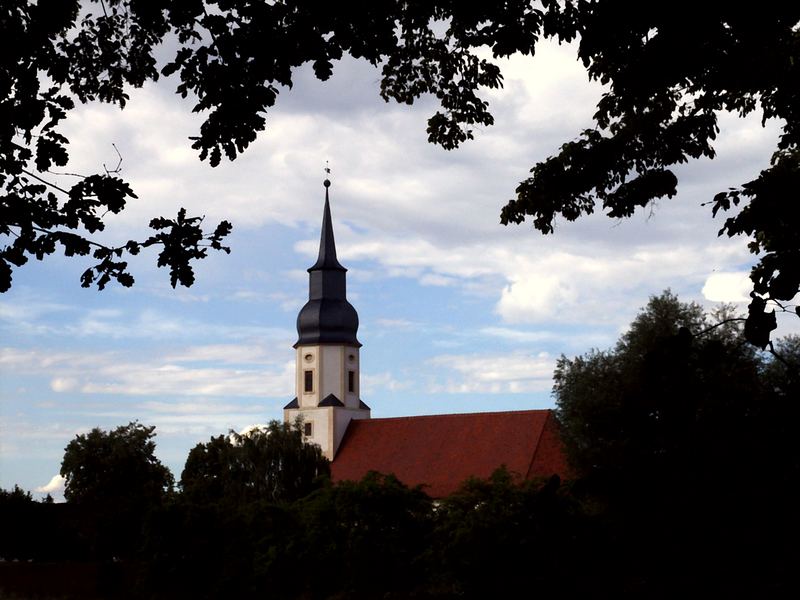 Blick aus dem Dickicht