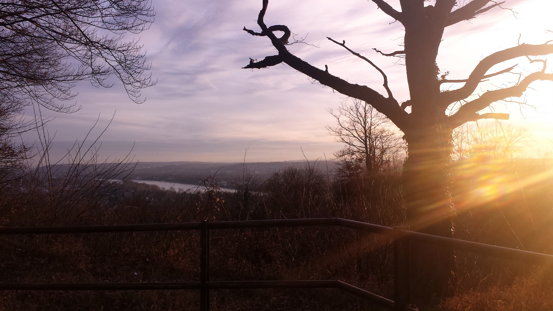 Blick aus dem Ennert Wald 2014