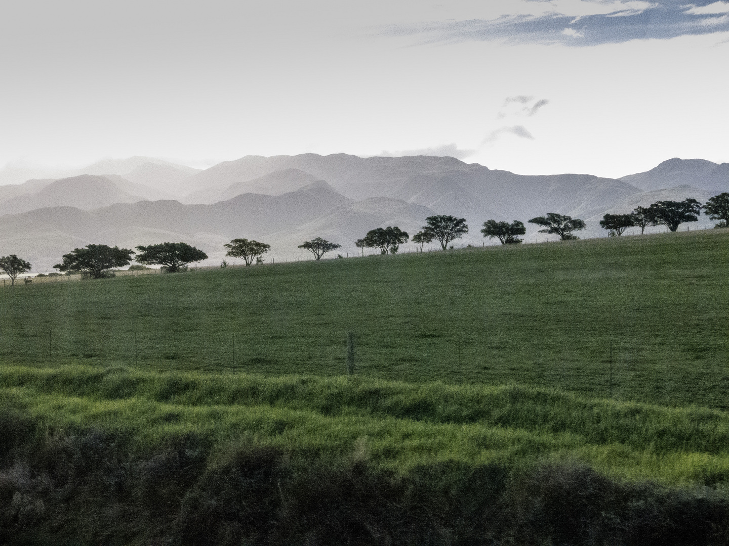 Blick aus dem fahrenden Bus...