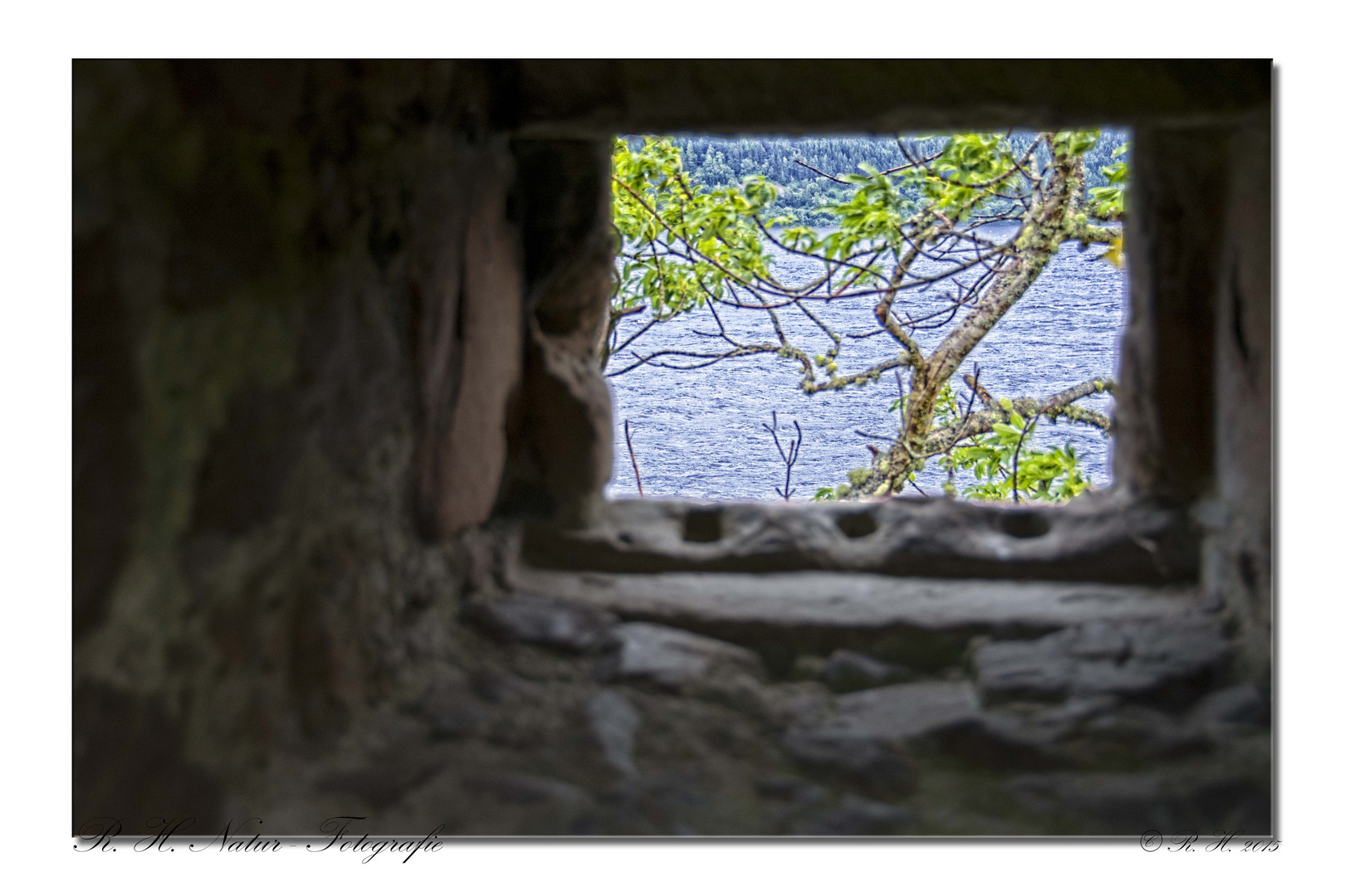 Blick aus dem Fenster