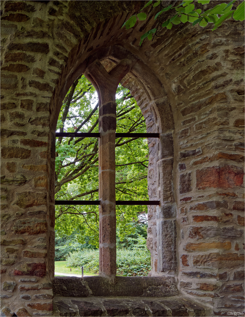 Blick aus dem Fenster ...