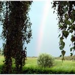 Blick aus dem fenster