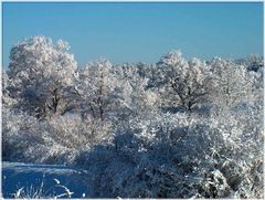 Blick aus dem Fenster