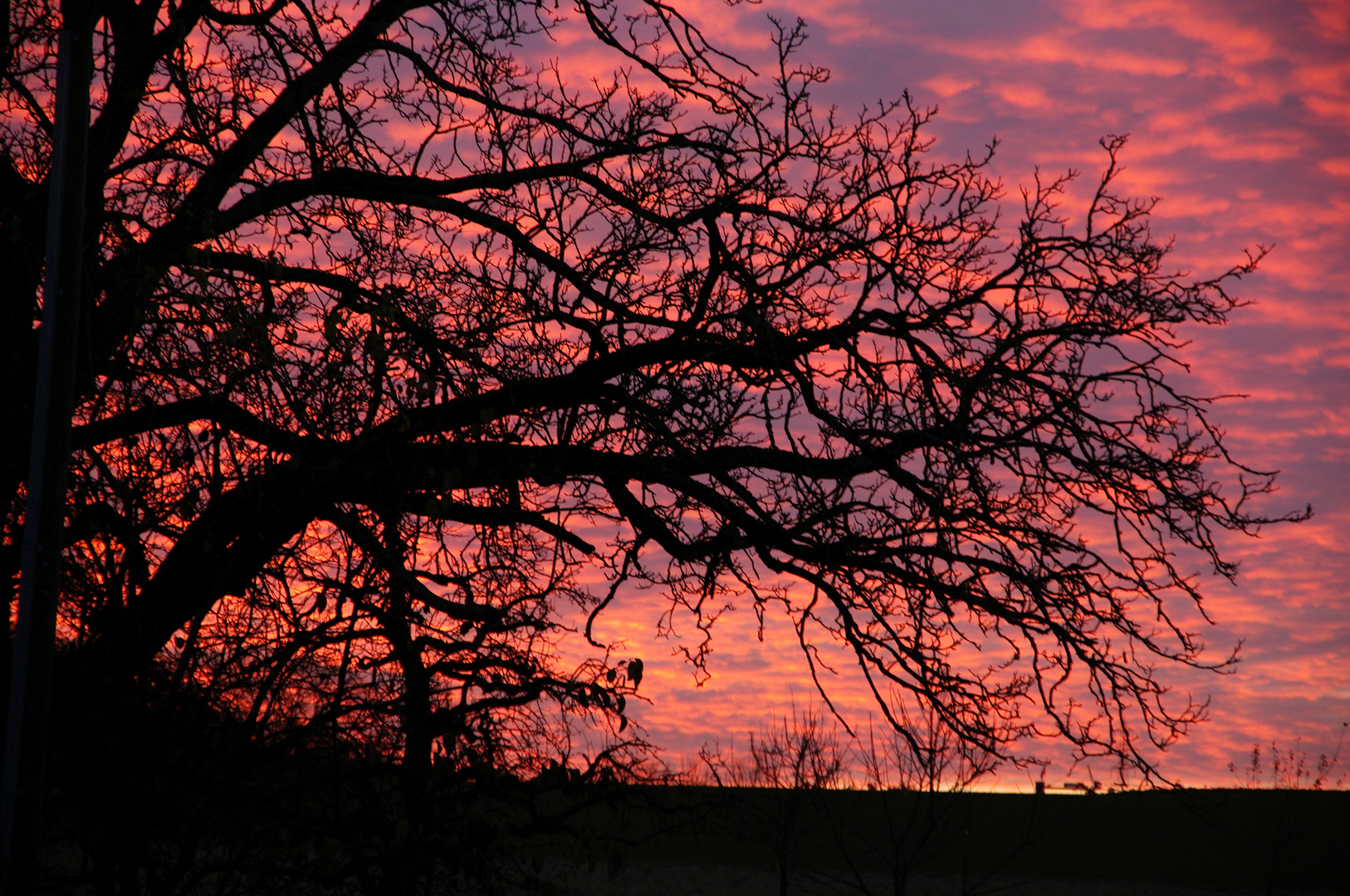 Blick aus dem Fenster