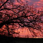 Blick aus dem Fenster