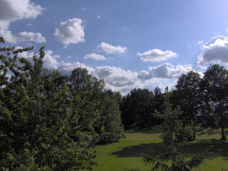 Blick aus dem Fenster