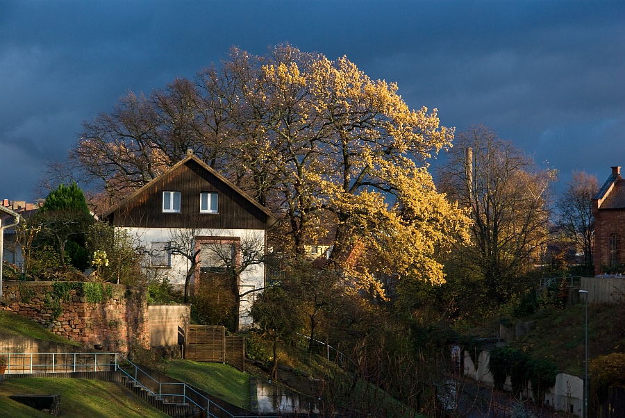 Blick aus dem Fenster