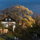 Blick aus dem Fenster