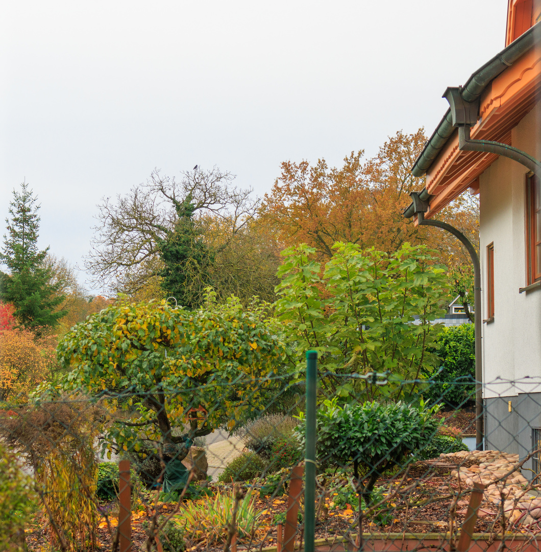 Blick aus dem Fenster