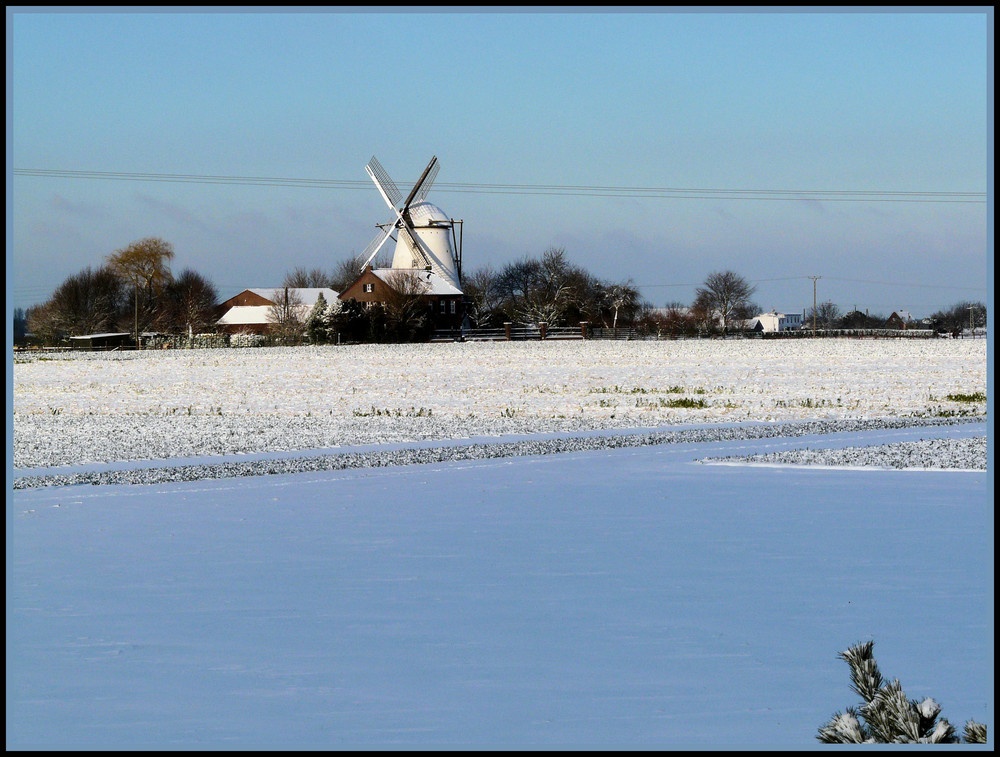 Blick aus dem Fenster.....