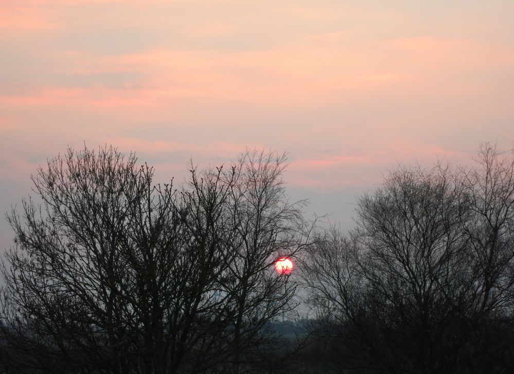 Blick aus dem Fenster