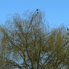 Blick aus dem Fenster