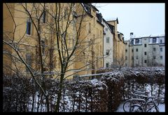 Blick aus dem Fenster