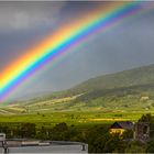 Blick aus dem Fenster