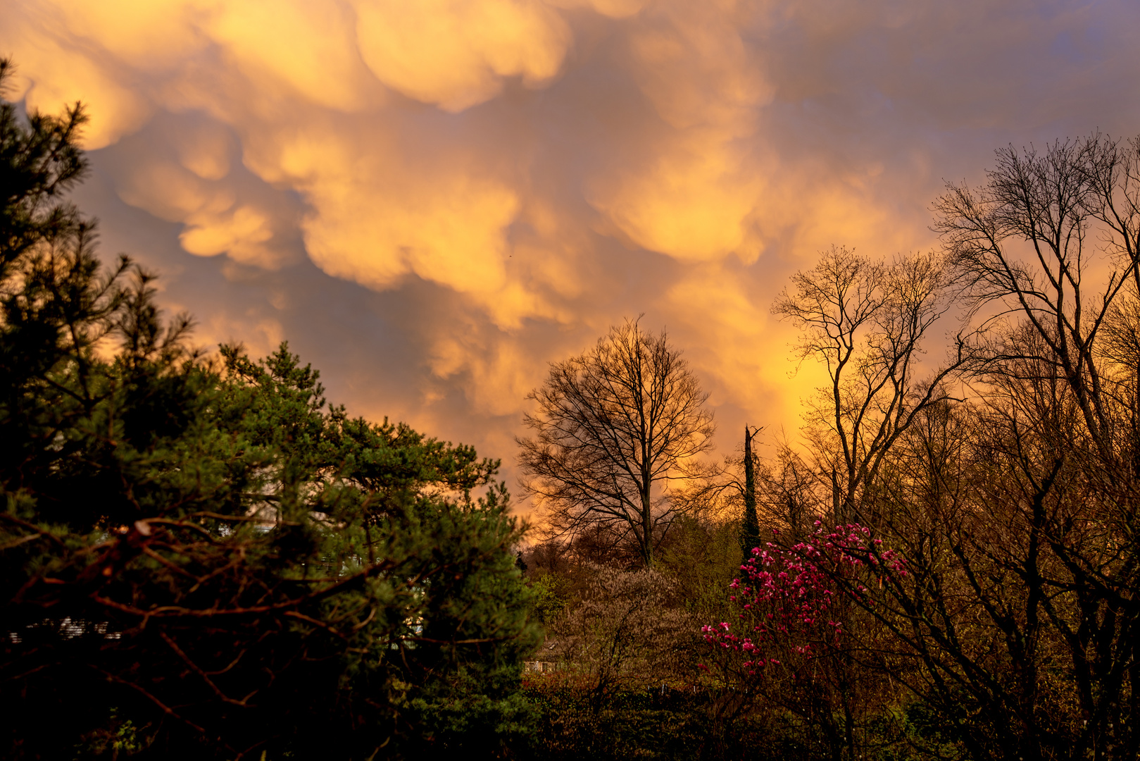 Blick aus dem Fenster