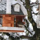 Blick aus dem Fenster 3