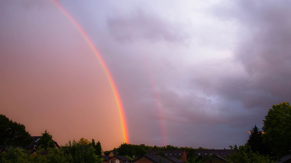 Blick aus dem Fenster