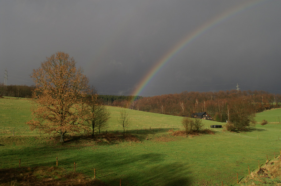 Blick aus dem Fenster