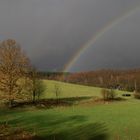 Blick aus dem Fenster