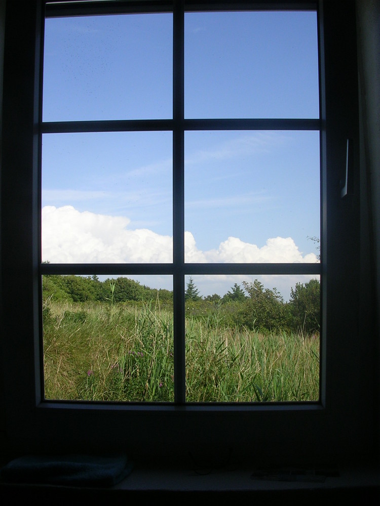 Blick aus dem Fenster Foto &amp; Bild naturkreativ, natur