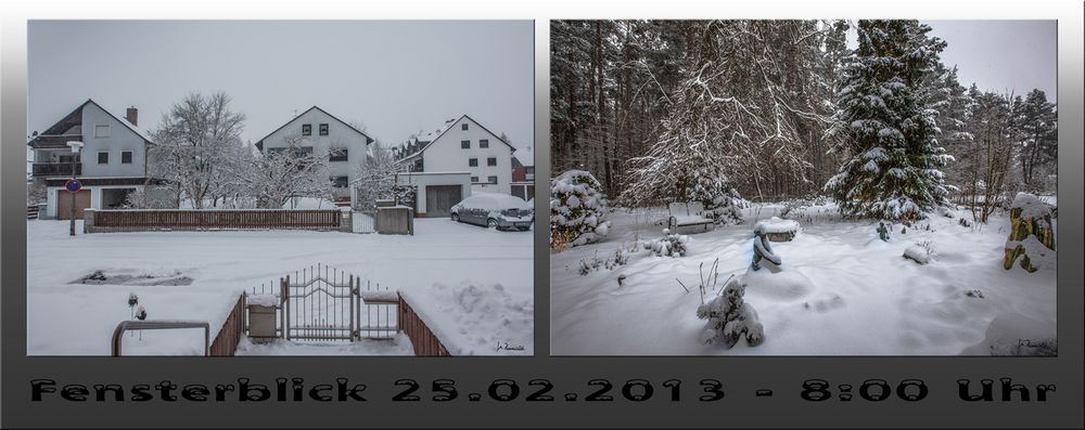 Http Www Fotocommunity De Photo Ein Wenig Farbe Shimmy11