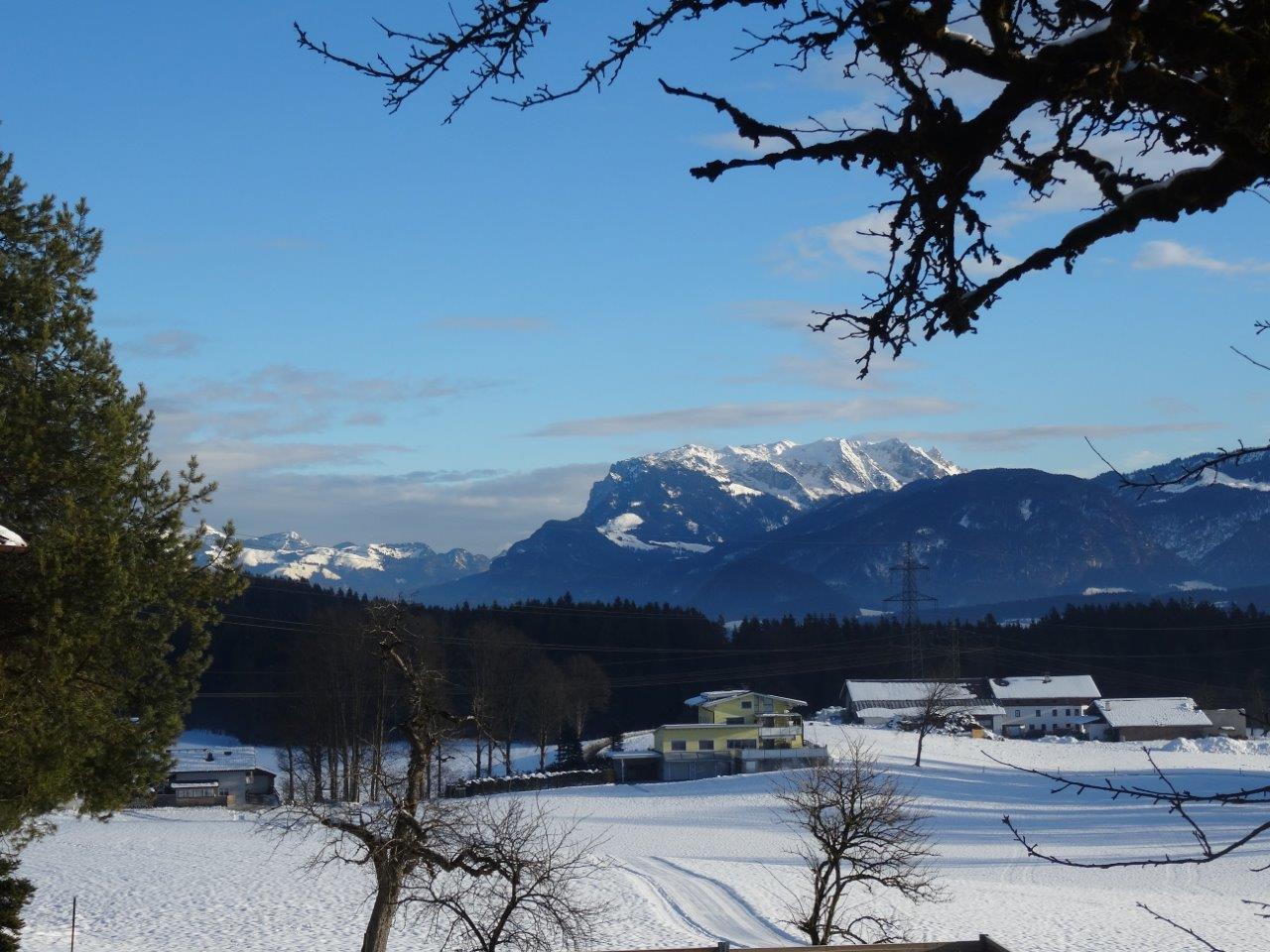 Blick aus dem Fenster