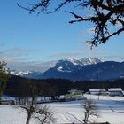 Blick aus dem Fenster