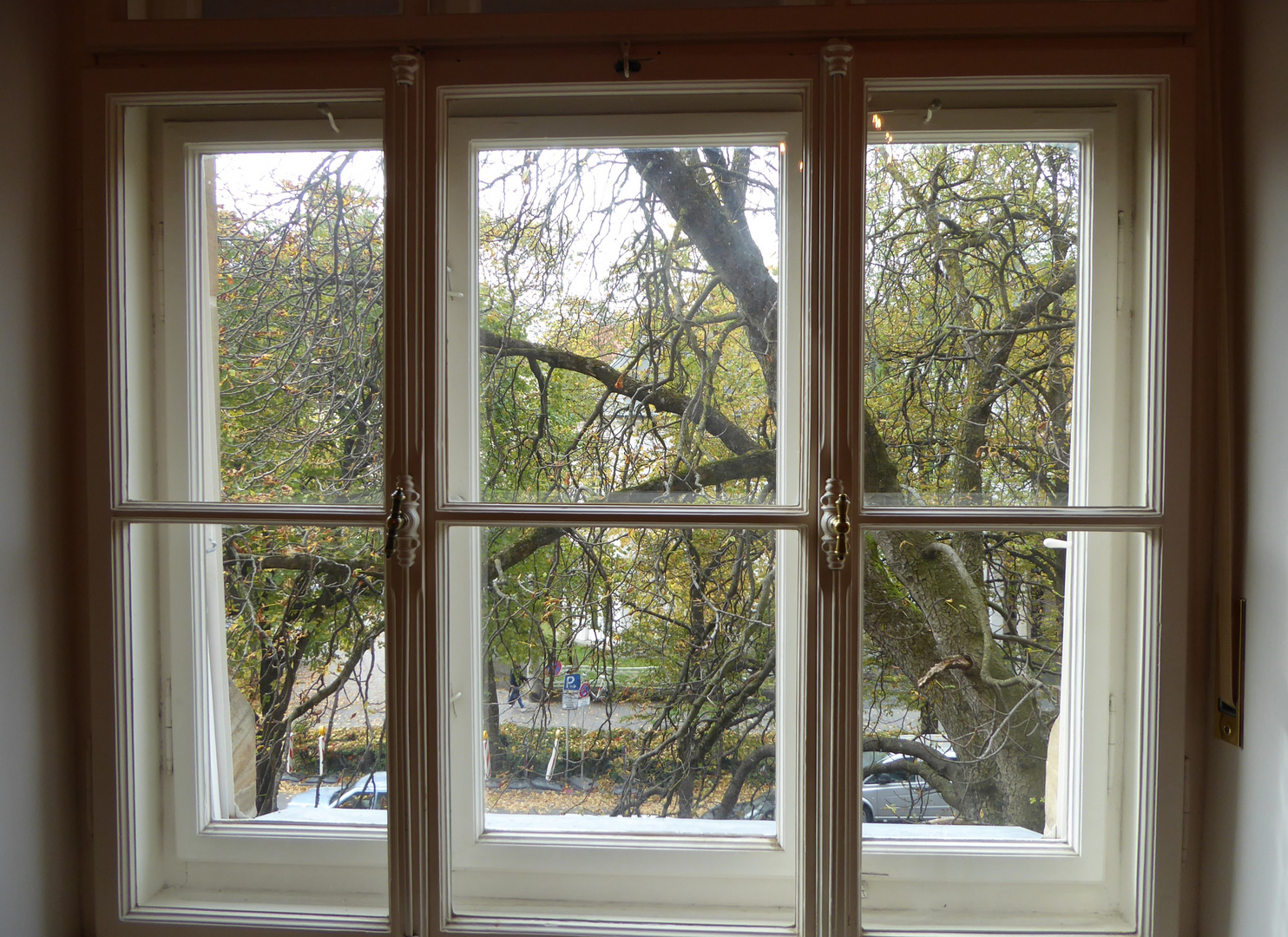 Blick aus dem Fenster.... Foto &amp; Bild | projekte, donnerstag mit ...