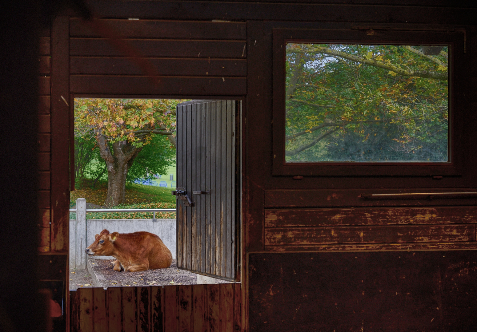 Blick aus dem Fenster