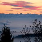 Blick aus dem Fenster