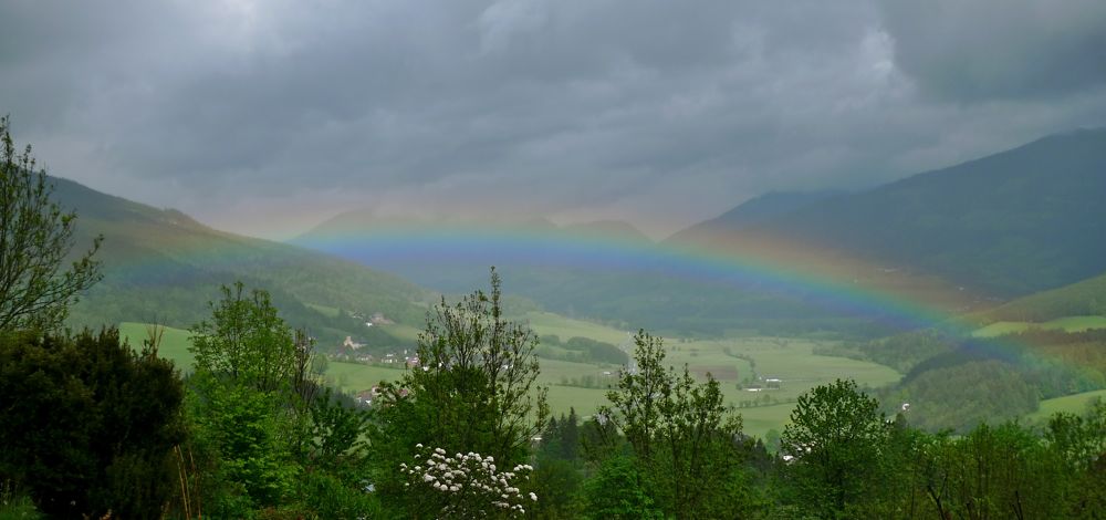 Blick aus dem Fenster