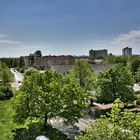 Blick aus dem Fenster