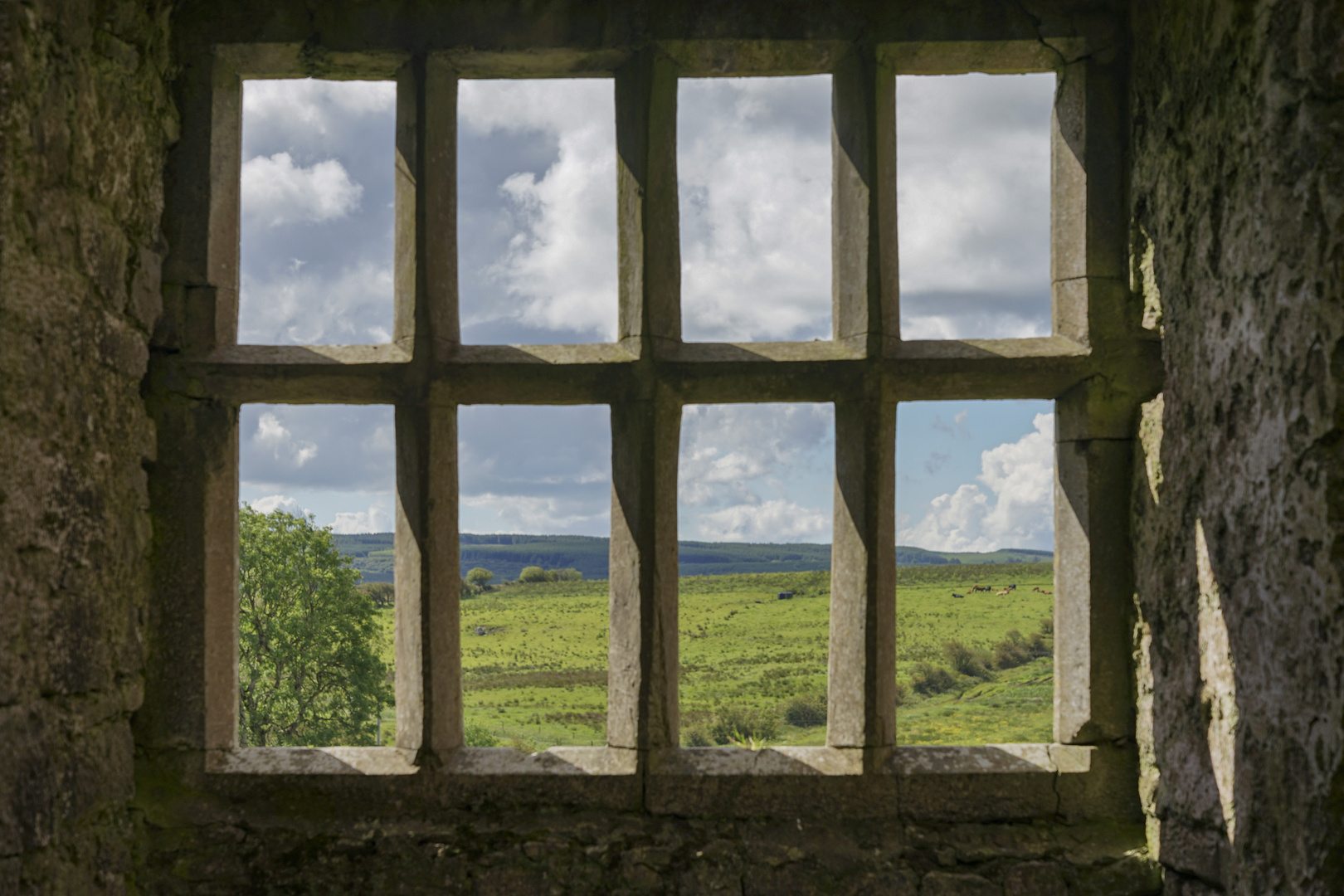 Blick aus dem Fenster