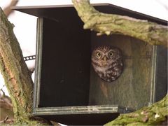 Blick aus dem Fenster