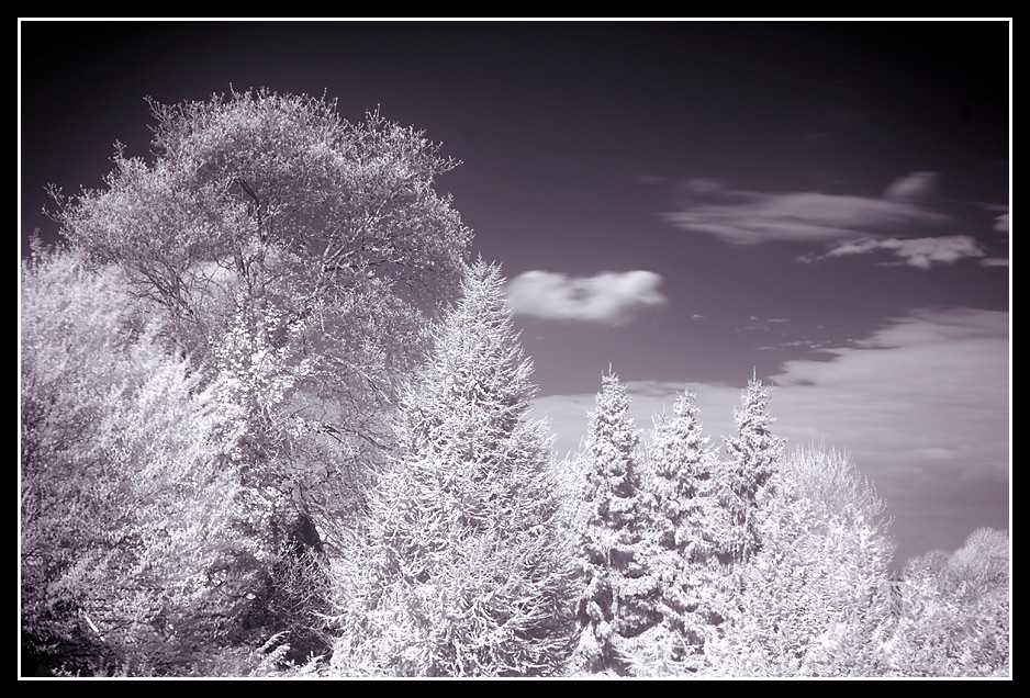 Blick aus dem Fenster...