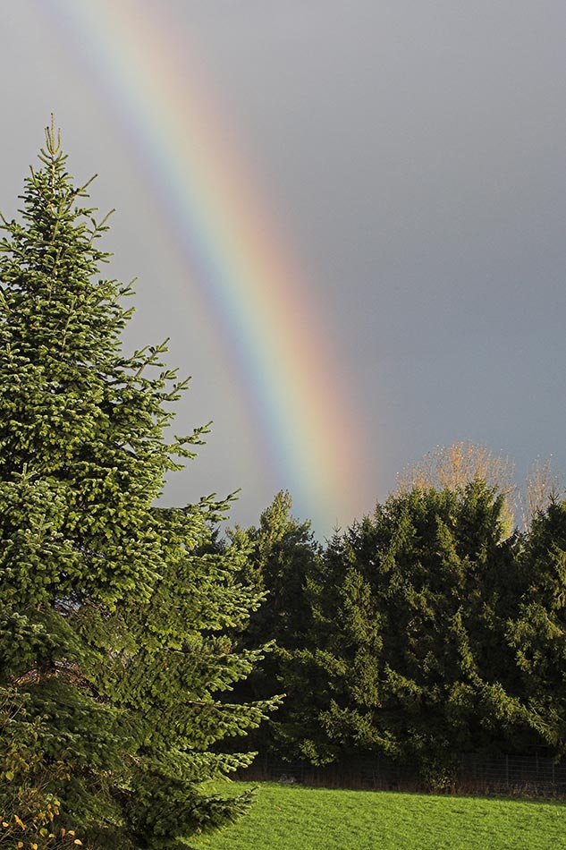 Blick aus dem Fenster