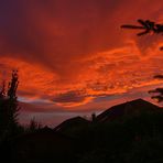 Blick aus dem Fenster