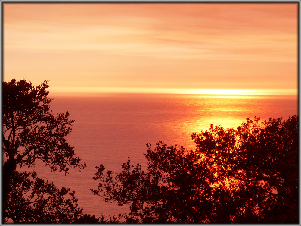 Blick aus dem Fenster