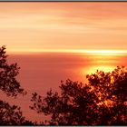 Blick aus dem Fenster