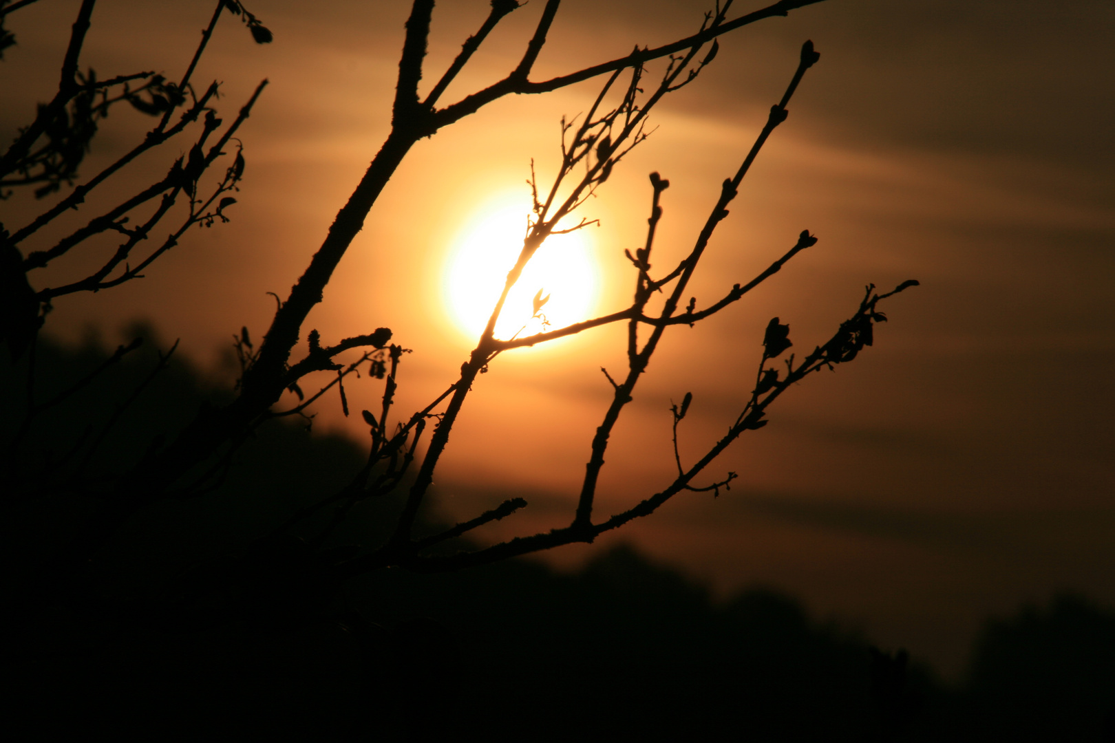 Blick aus dem Fenster