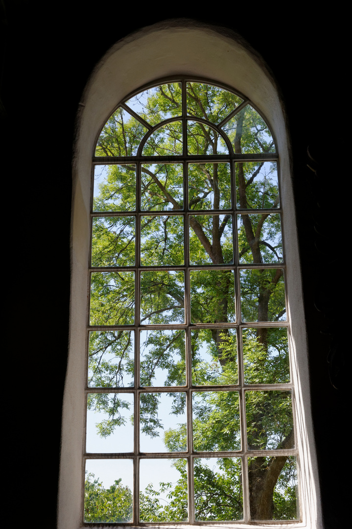 Blick aus dem Fenster