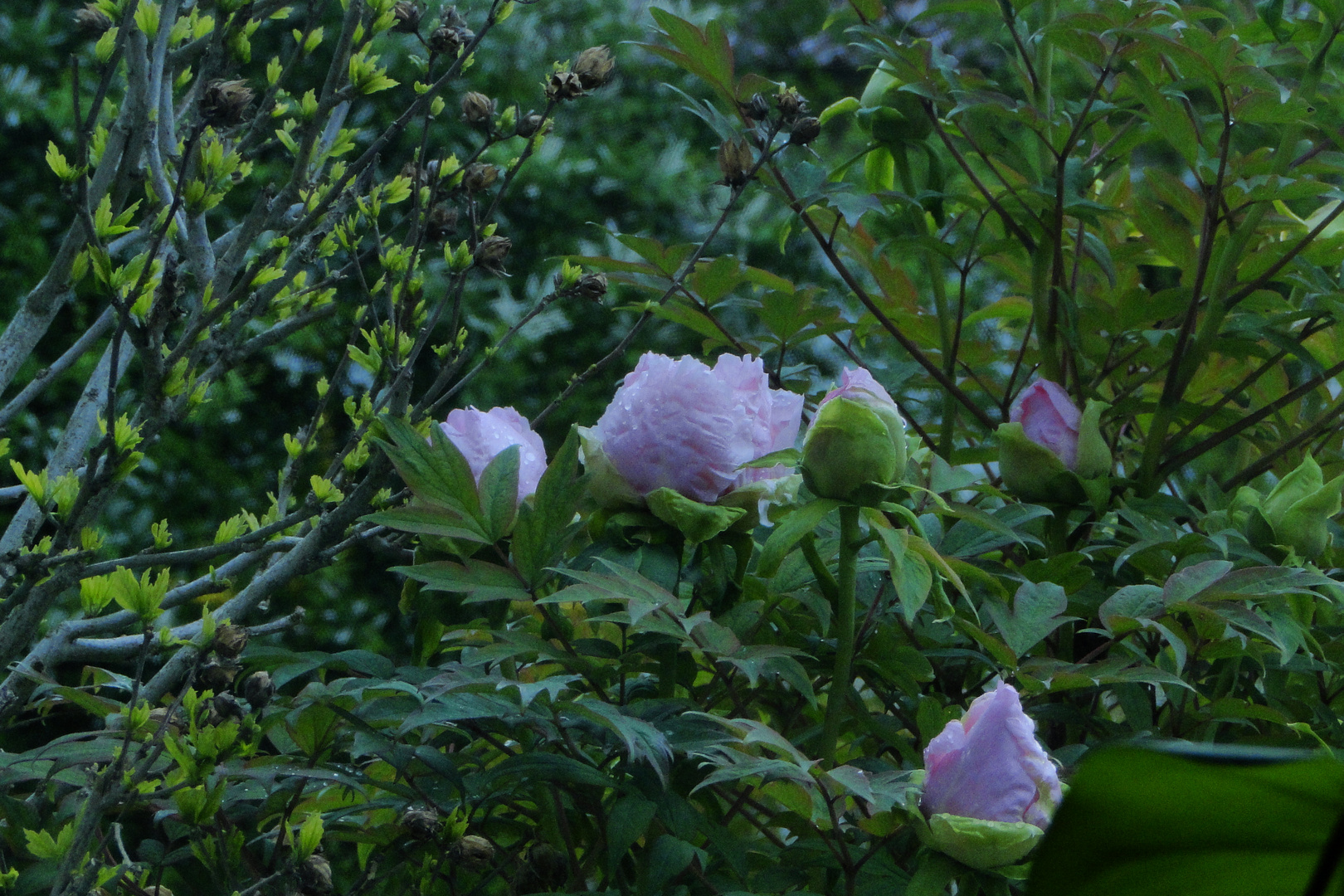 Blick aus dem Fenster