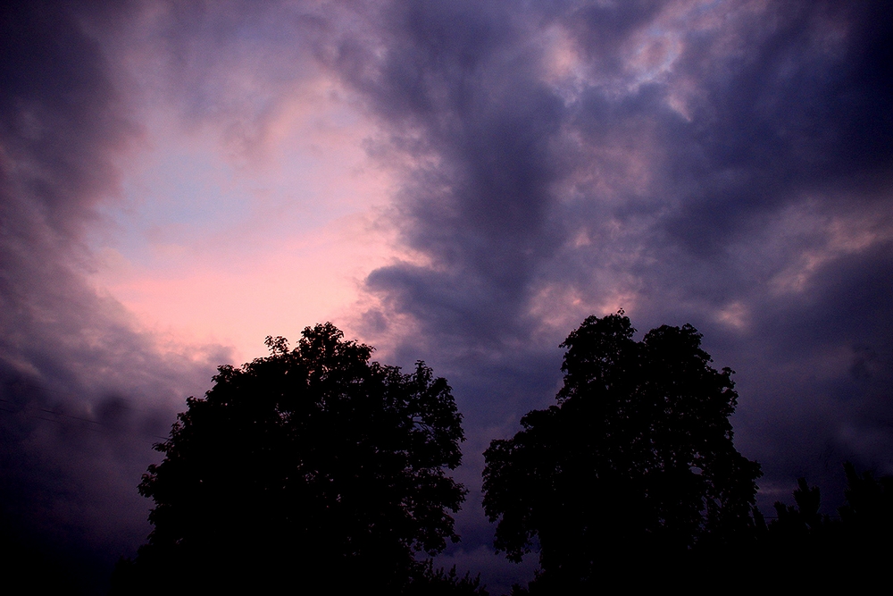 Blick aus dem Fenster